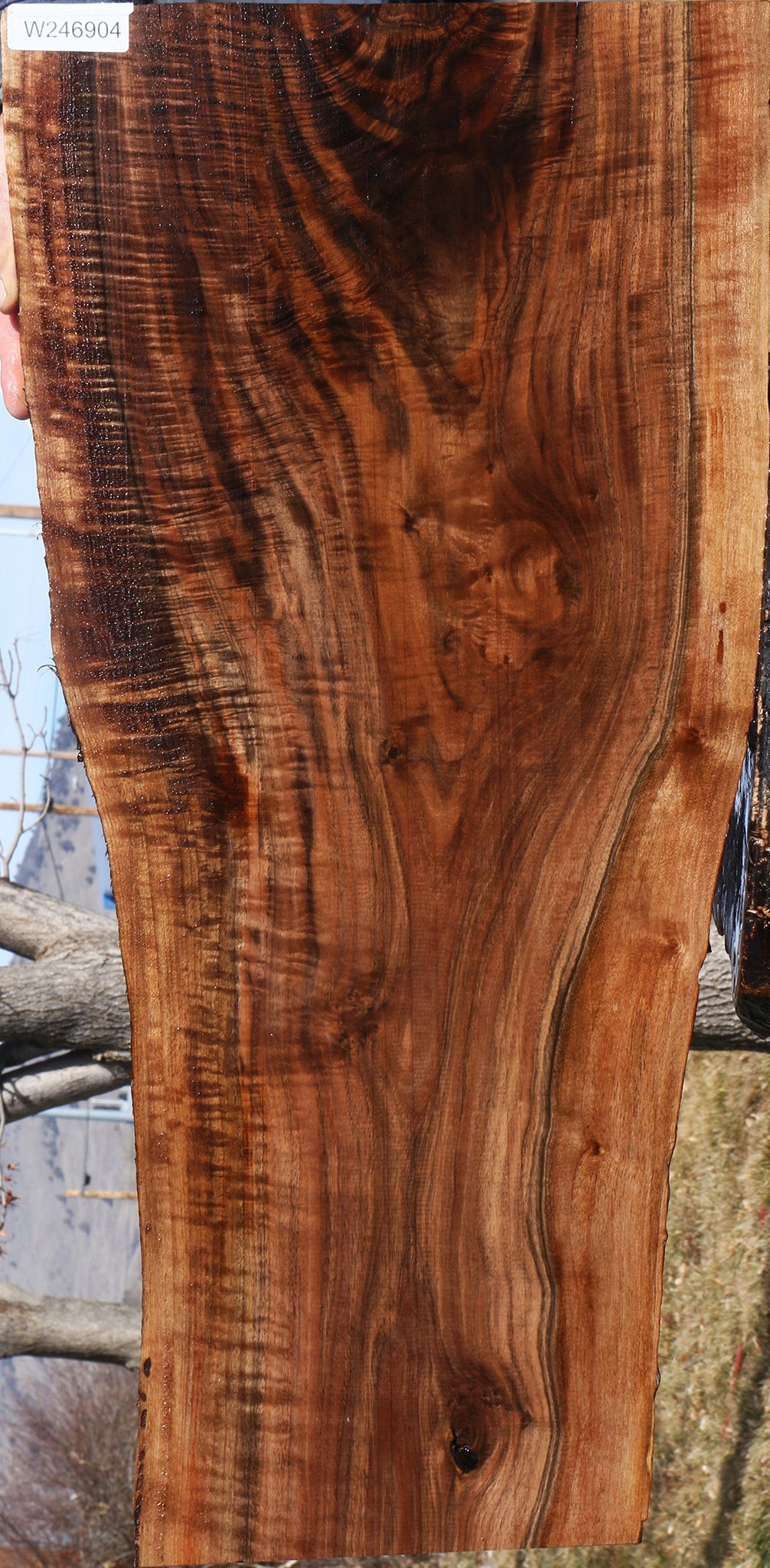 Extra Fancy Claro Walnut Live Edge Micro Lumber