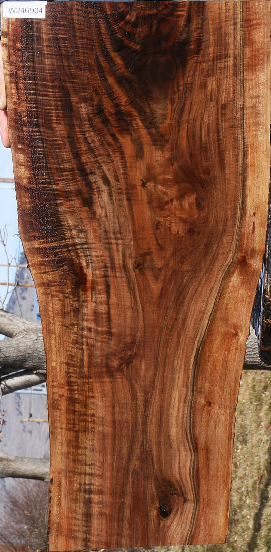 Extra Fancy Claro Walnut Live Edge Micro Lumber