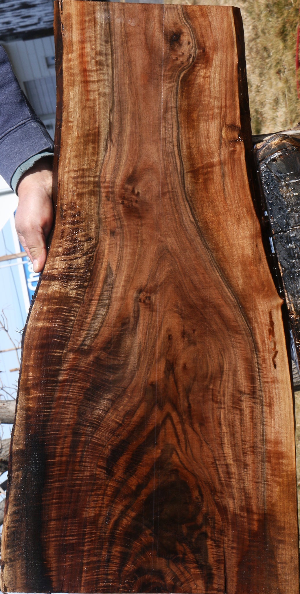 Extra Fancy Claro Walnut Live Edge Micro Lumber