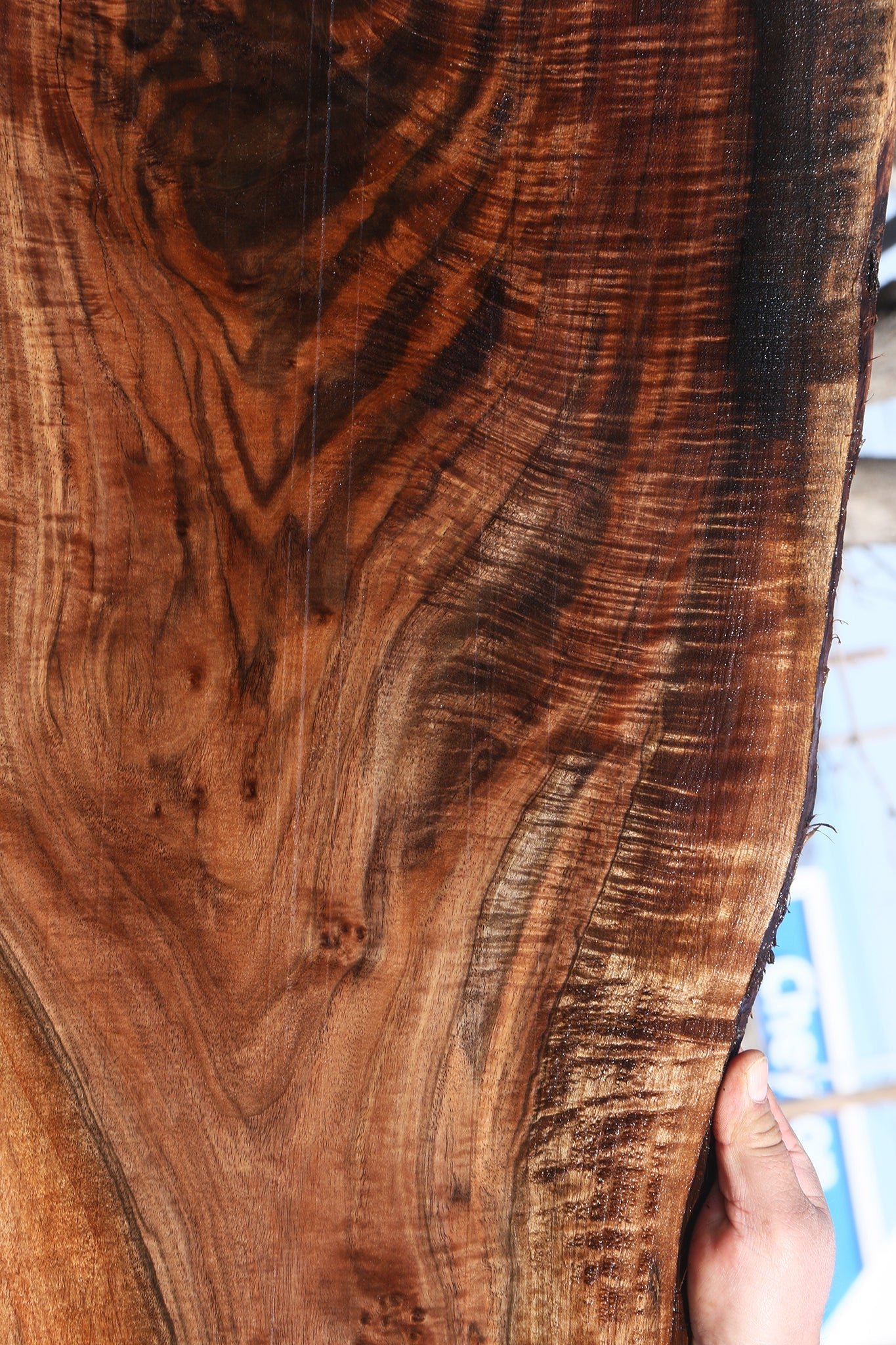 Extra Fancy Claro Walnut Live Edge Micro Lumber