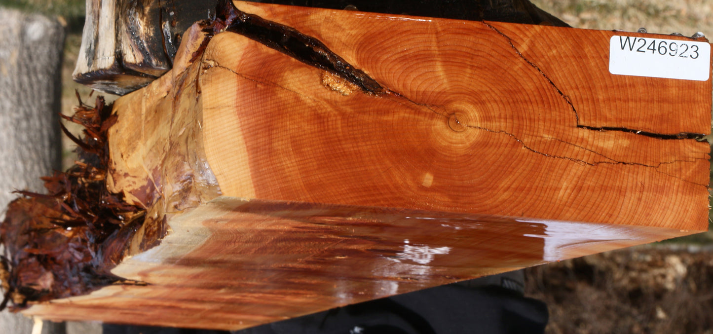 Figured Juniper Live Edge Mantel (Free Shipping Excluded)