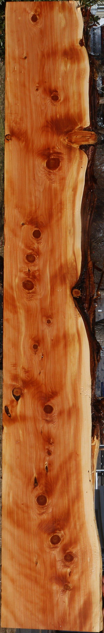 Figured Juniper Live Edge Mantel (Free Shipping Excluded)