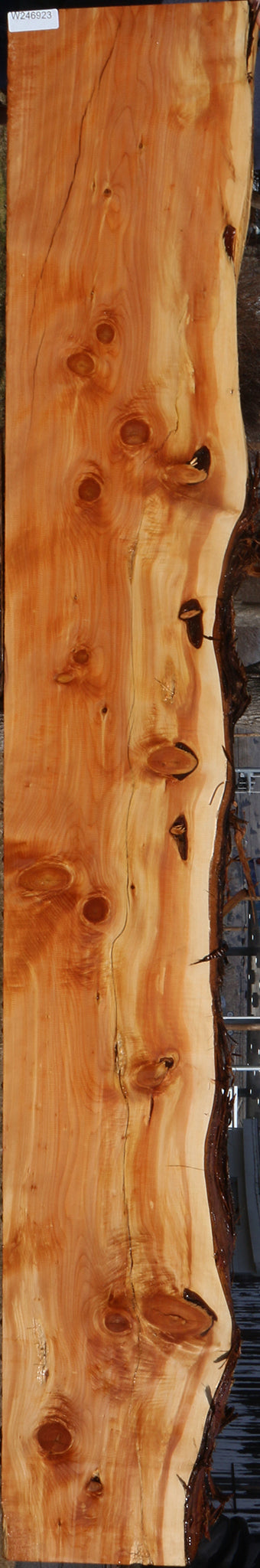 Figured Juniper Live Edge Mantel (Free Shipping Excluded)