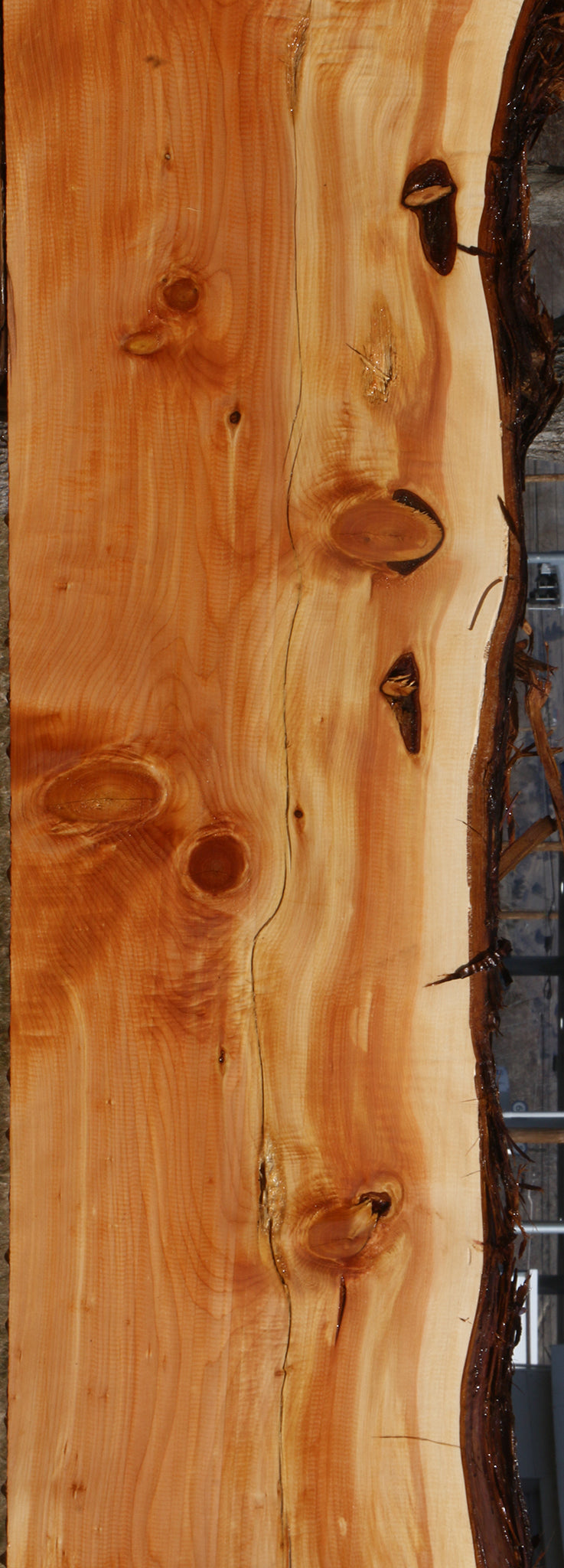 Figured Juniper Live Edge Mantel (Free Shipping Excluded)