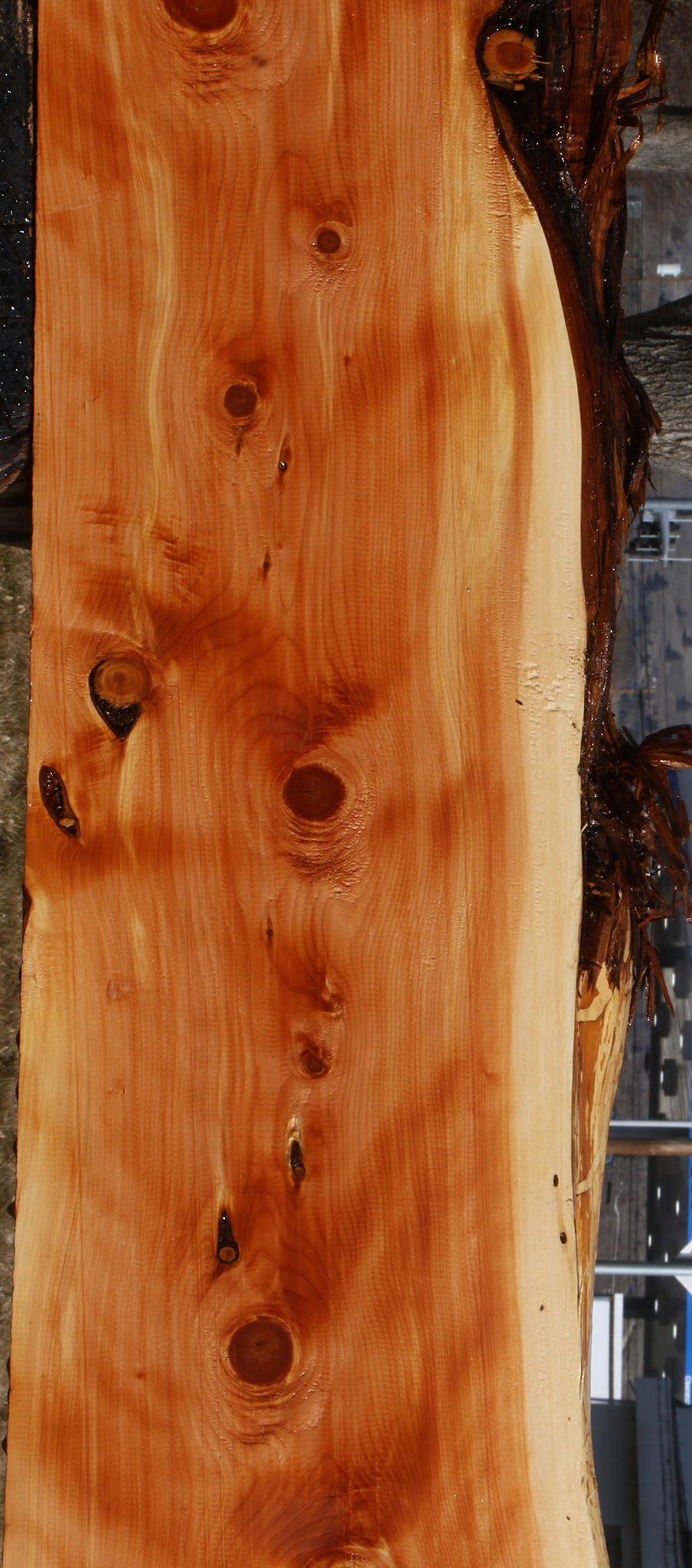 Figured Juniper Live Edge Mantel (Free Shipping Excluded)