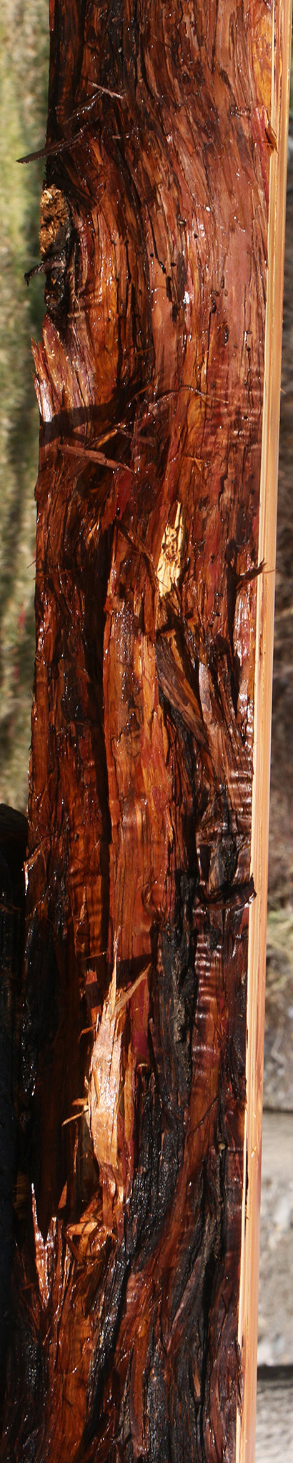 Figured Juniper Live Edge Mantel (Free Shipping Excluded)