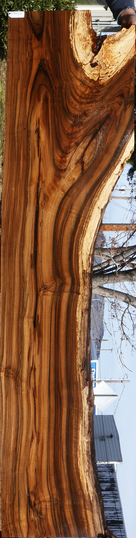 Extra Fancy English Walnut Live Edge Slab