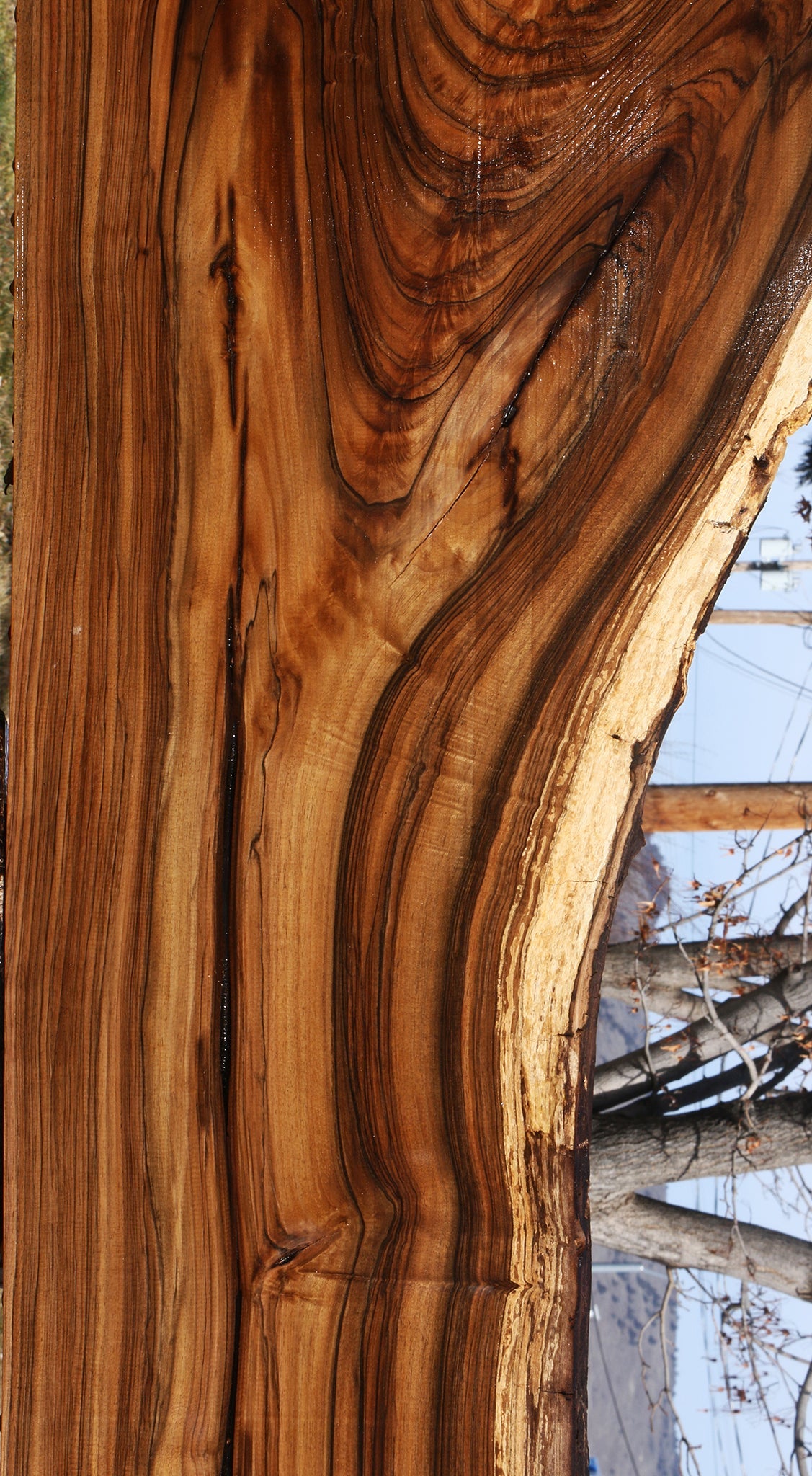 Extra Fancy English Walnut Live Edge Slab