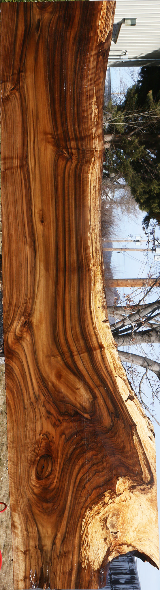 Extra Fancy English Walnut Live Edge Slab