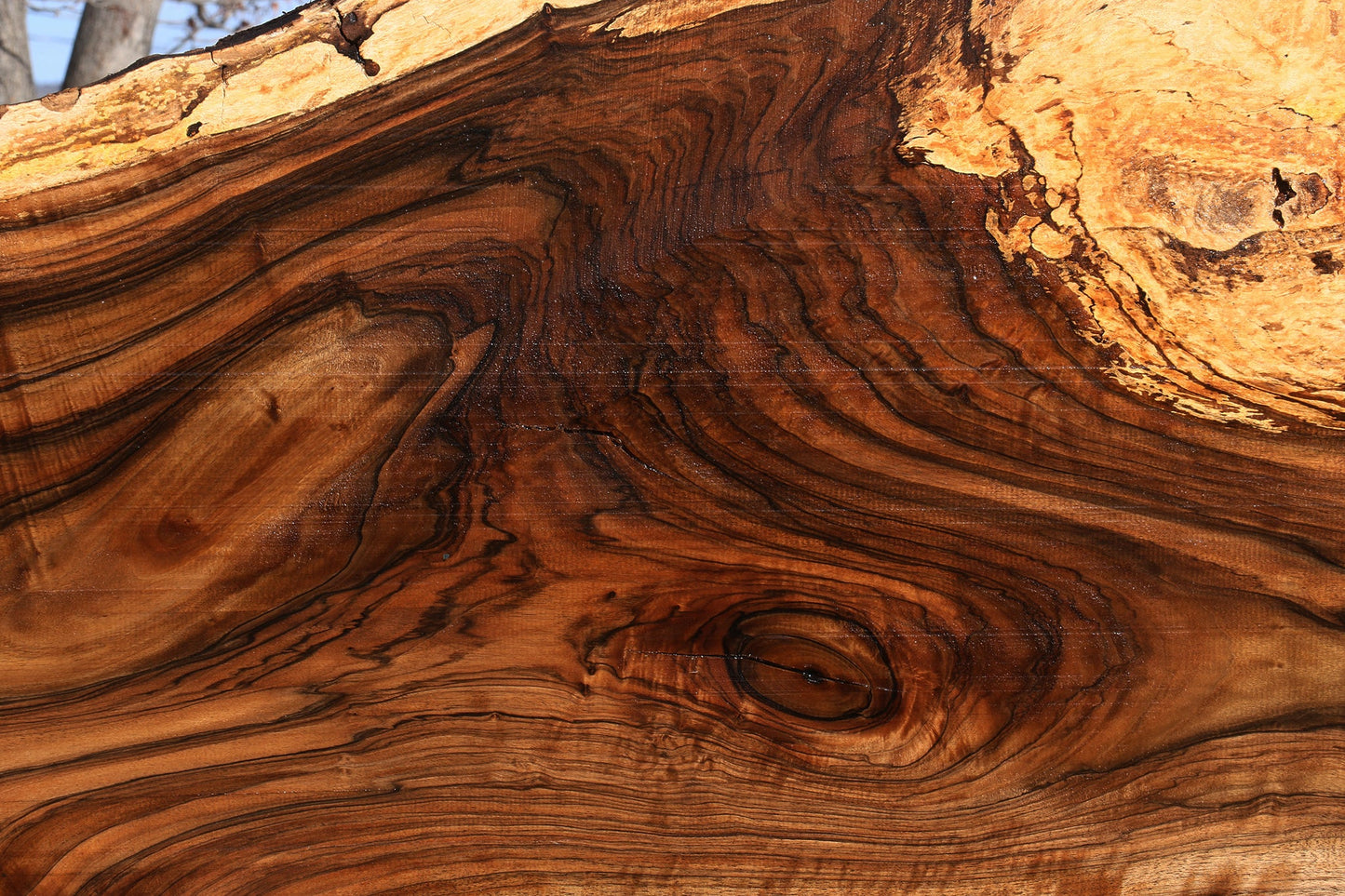 Extra Fancy English Walnut Live Edge Slab