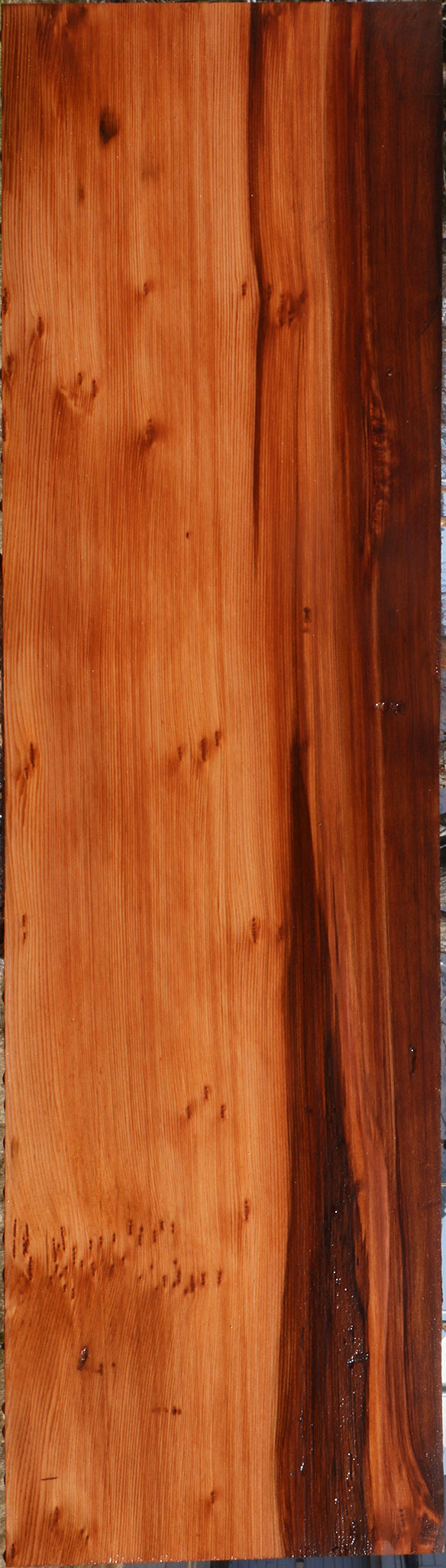 Figured Redwood Mini Slab