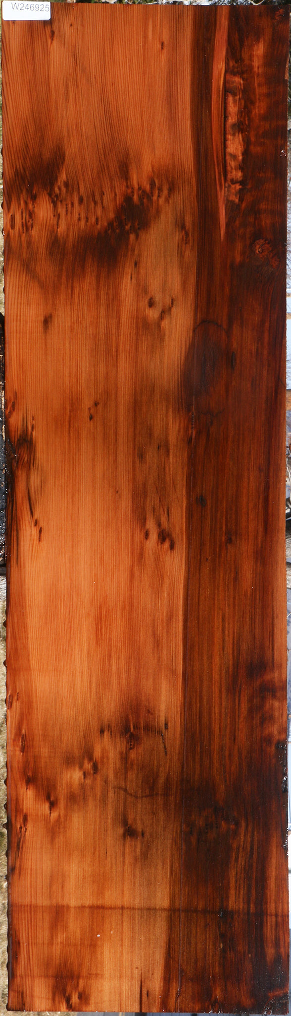 Figured Redwood Mini Slab