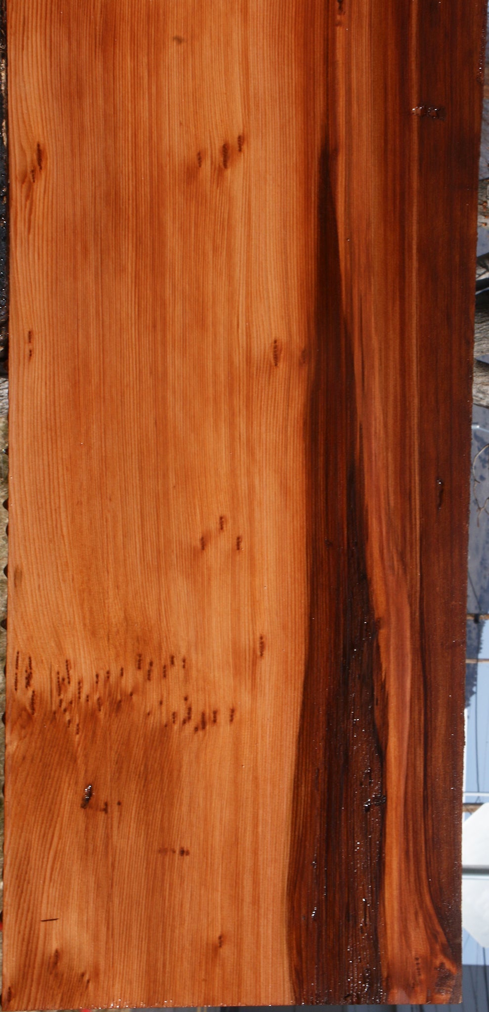Figured Redwood Mini Slab