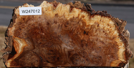 Elm Burl Live Edge Slice