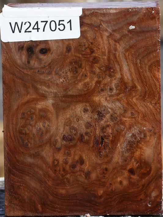 Elm Burl Turning Blank