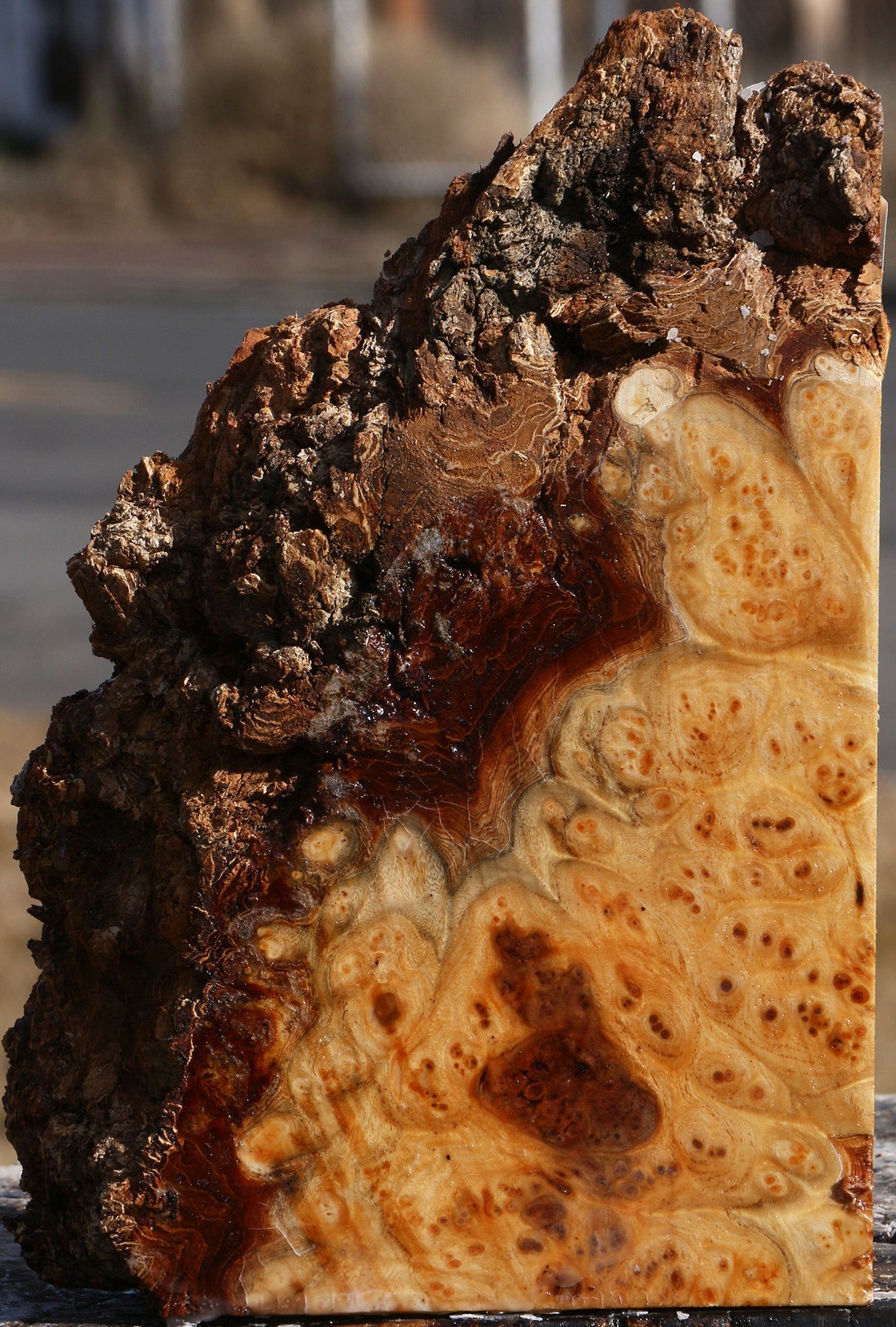 Elm Burl Live Edge Turning Blank