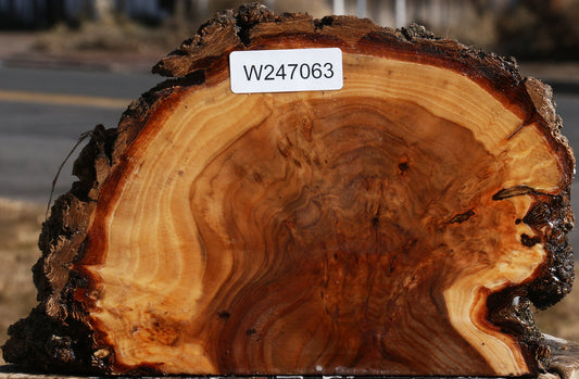 Elm Burl Live Edge Slice