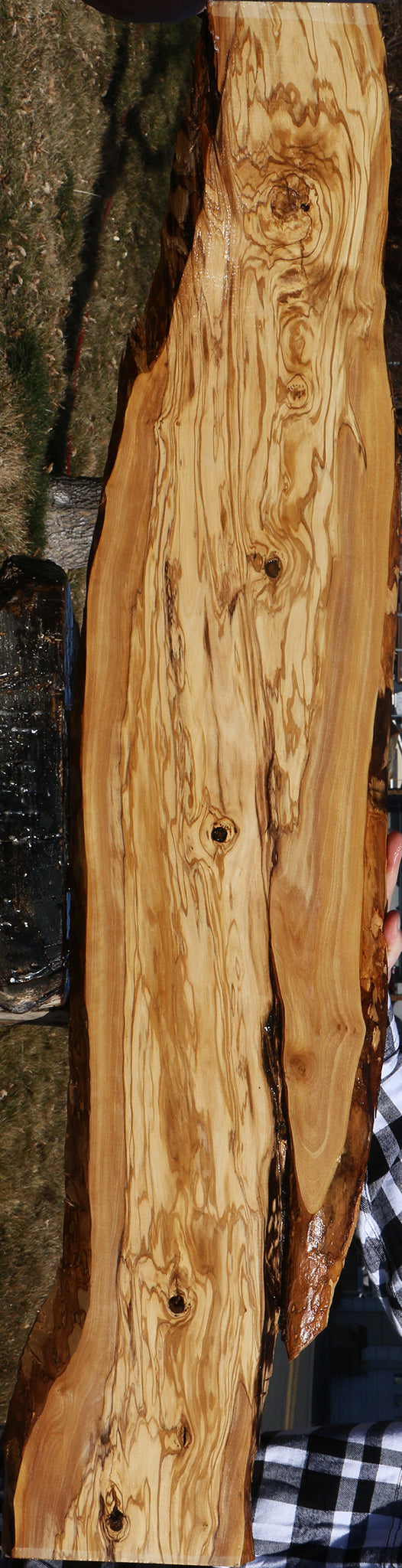 Figured Rustic Italian Olive Live Edge Lumber