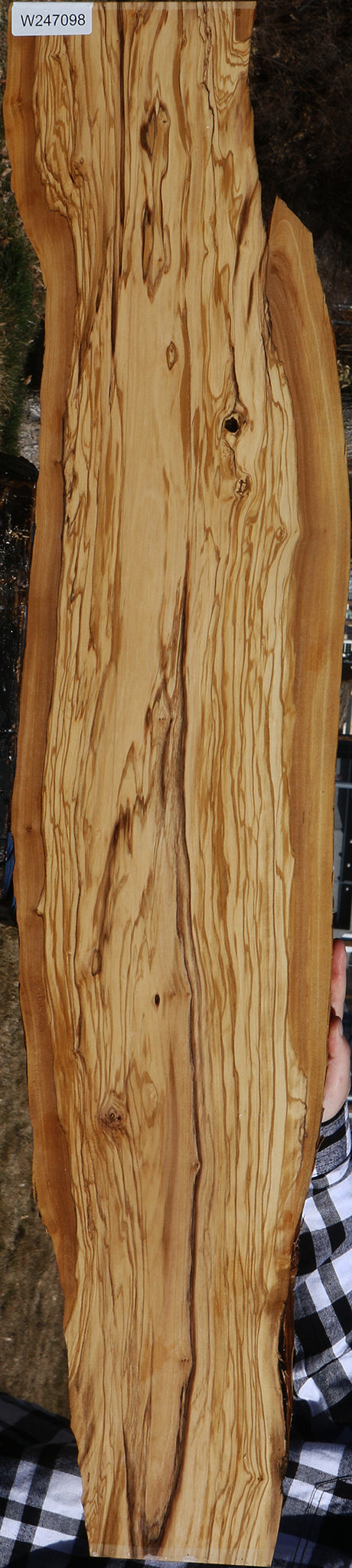 Figured Rustic Italian Olive Live Edge Lumber