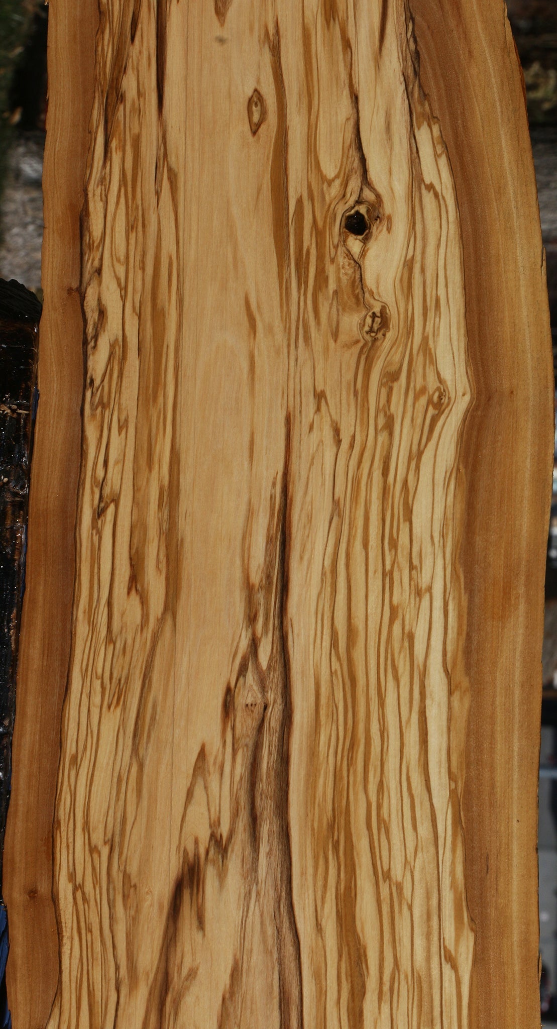 Figured Rustic Italian Olive Live Edge Lumber