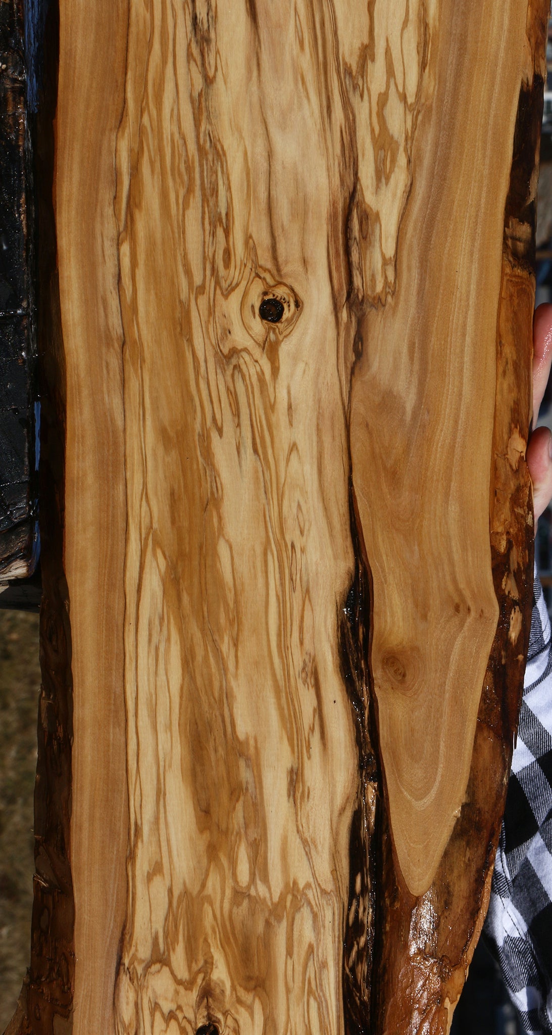 Figured Rustic Italian Olive Live Edge Lumber