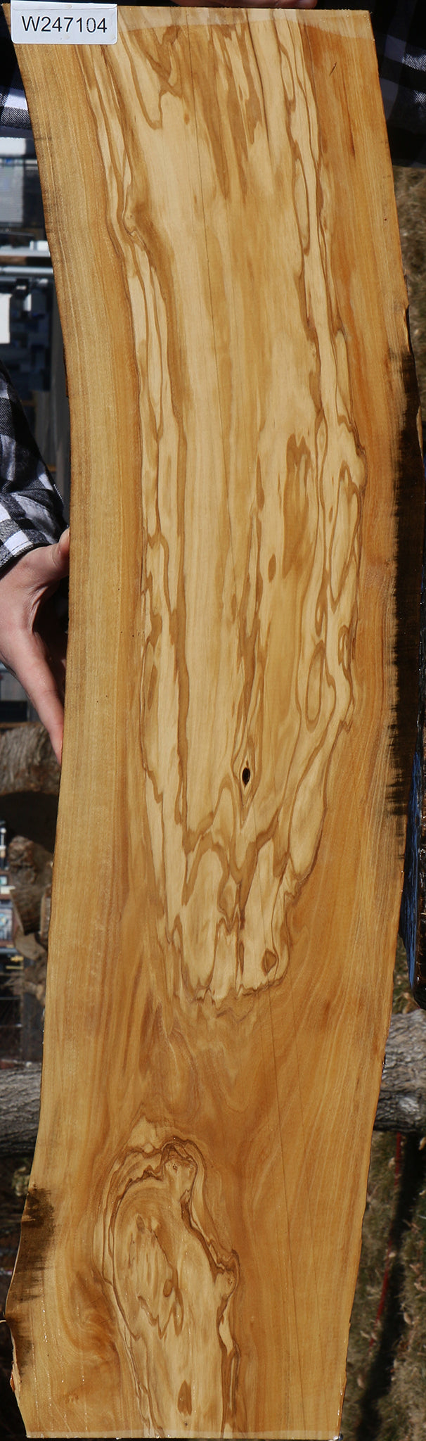 Figured Italian Olive Live Edge Lumber