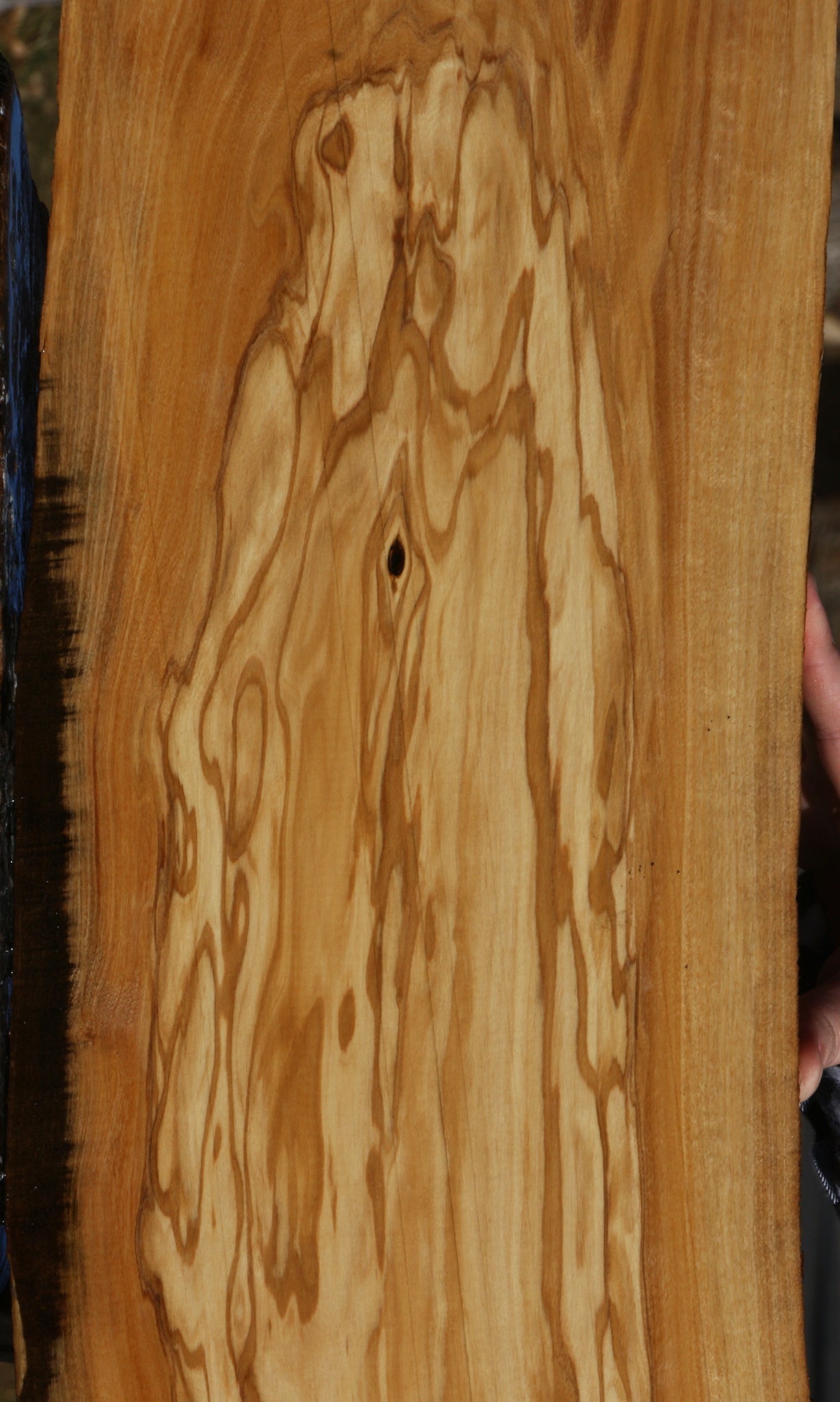 Figured Italian Olive Live Edge Lumber
