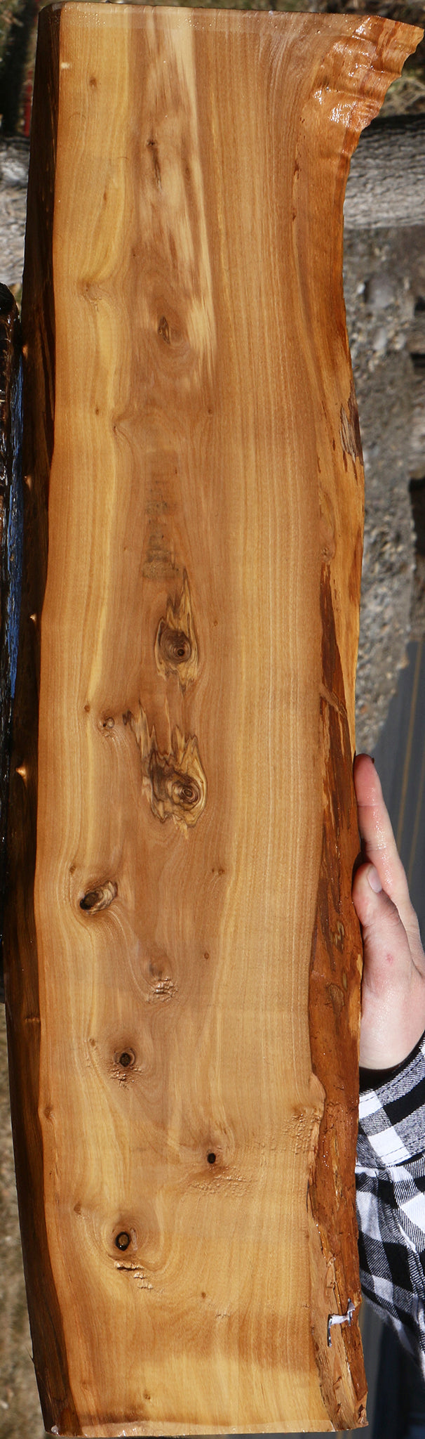 Italian Olive Live Edge Lumber