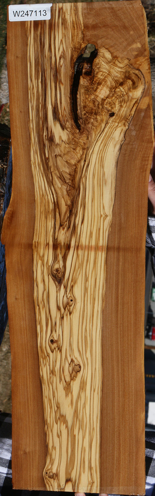 Figured Italian Olive Live Edge Lumber