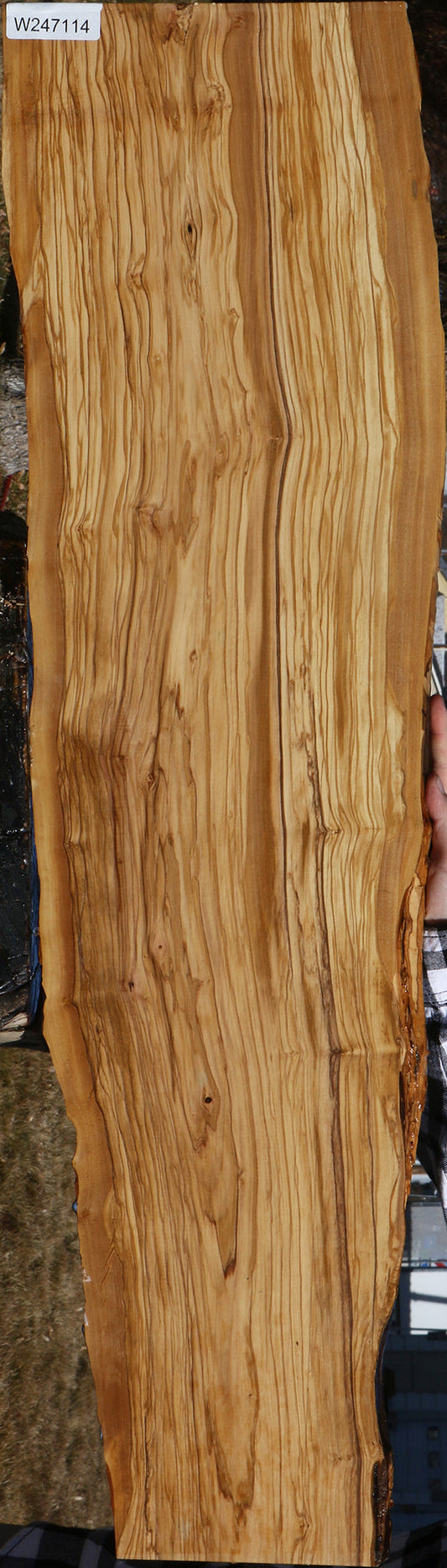 Italian Olive Live Edge Lumber