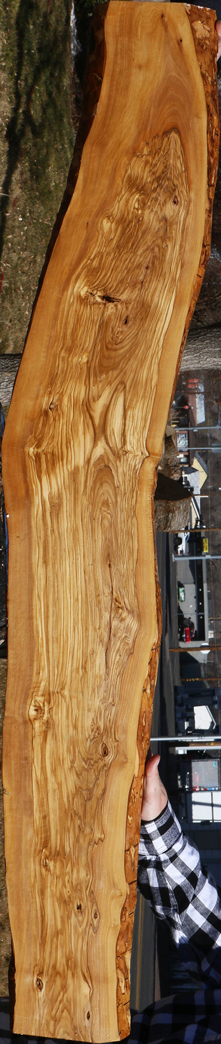 Figured Italian Olive Live Edge Lumber