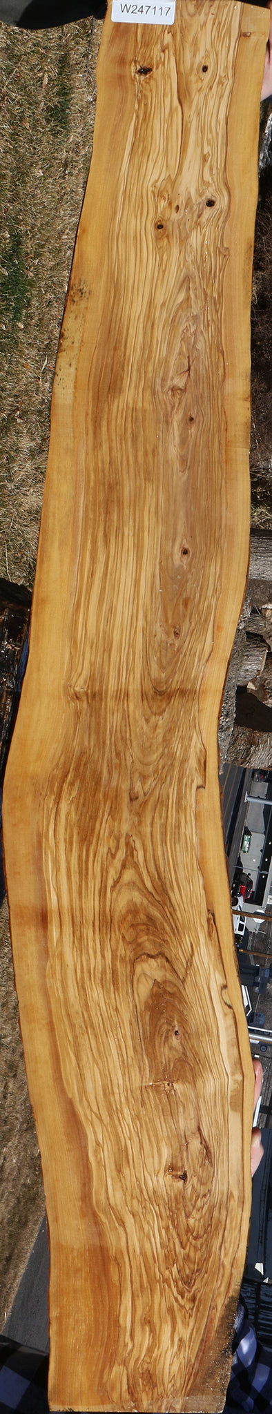 Figured Italian Olive Live Edge Lumber