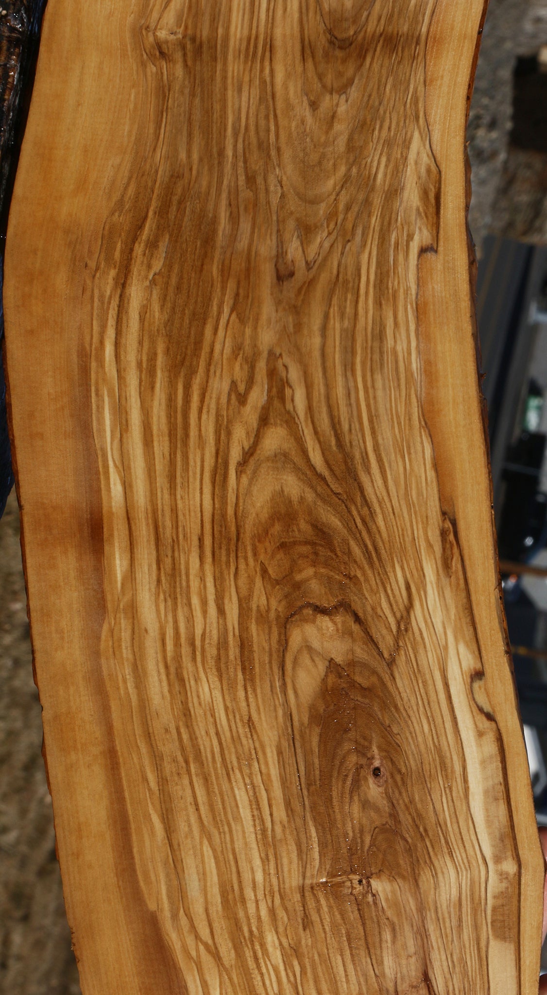 Figured Italian Olive Live Edge Lumber