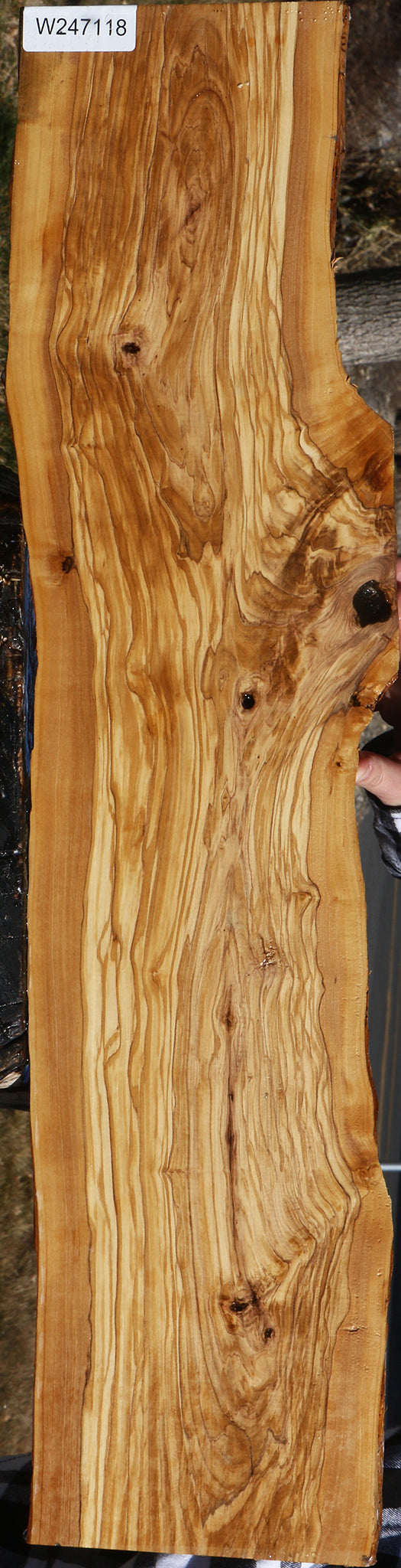 Figured Italian Olive Live Edge Lumber