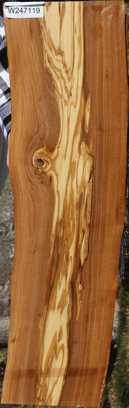 Italian Olive Live Edge Lumber