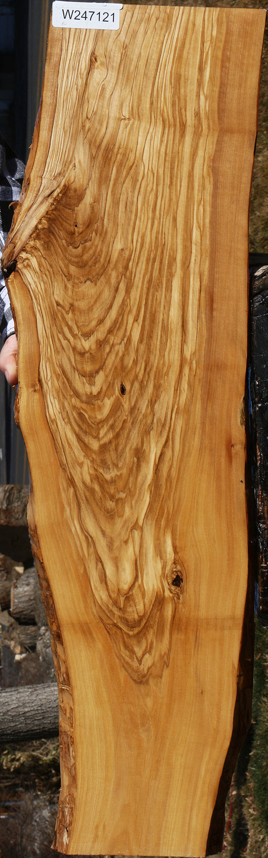 Figured Italian Olive Live Edge Lumber
