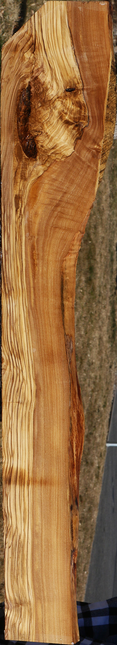 Figured Italian Olive Live Edge Lumber