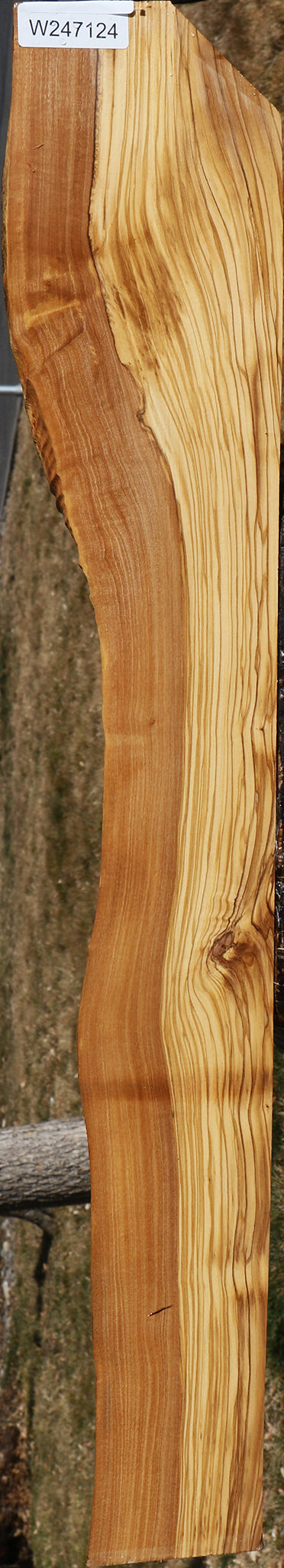 Figured Italian Olive Live Edge Lumber