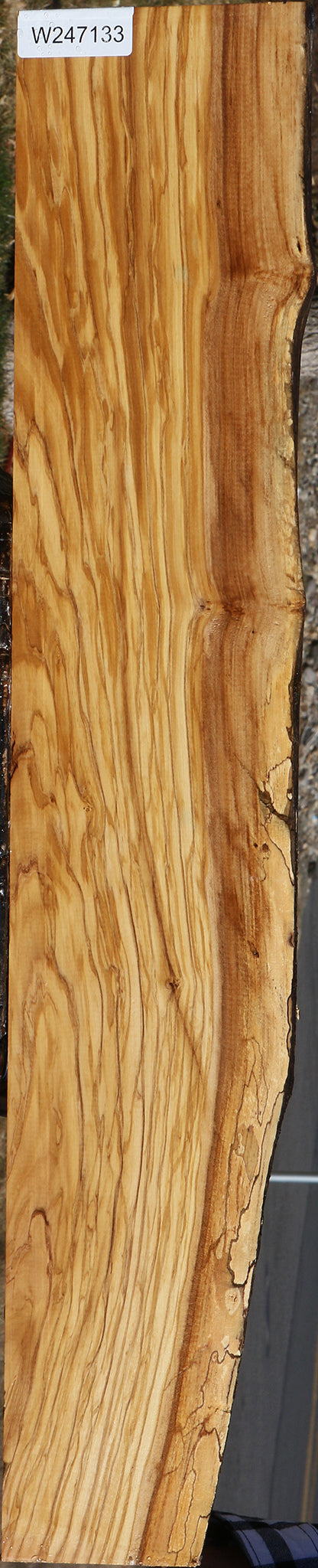 Figured Rustic Italian Olive Live Edge Lumber