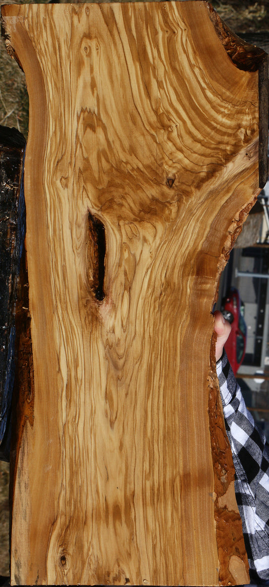 Extra Fancy Italian Olive Live Edge Lumber
