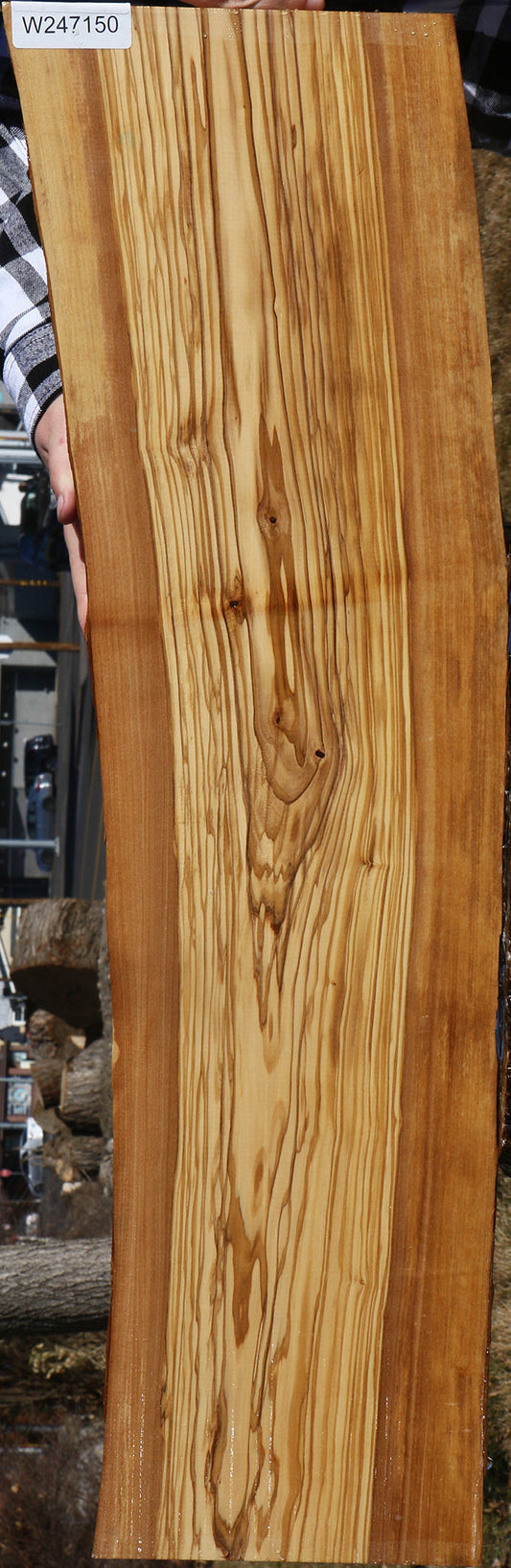 Italian Olive Live Edge Lumber