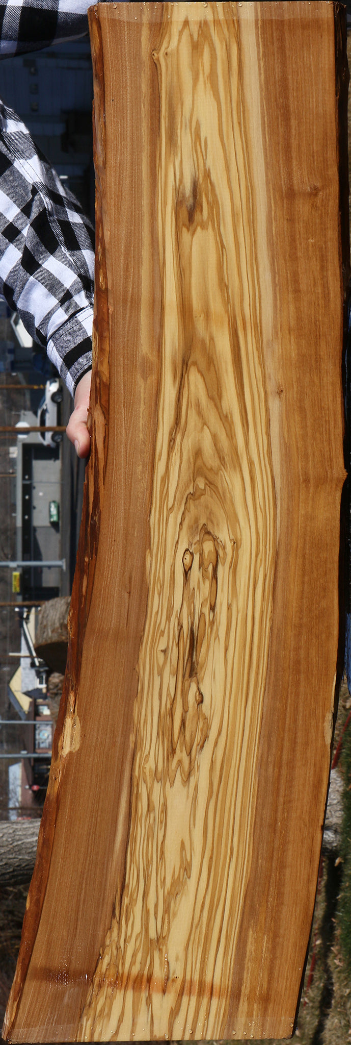 Italian Olive Live Edge Lumber