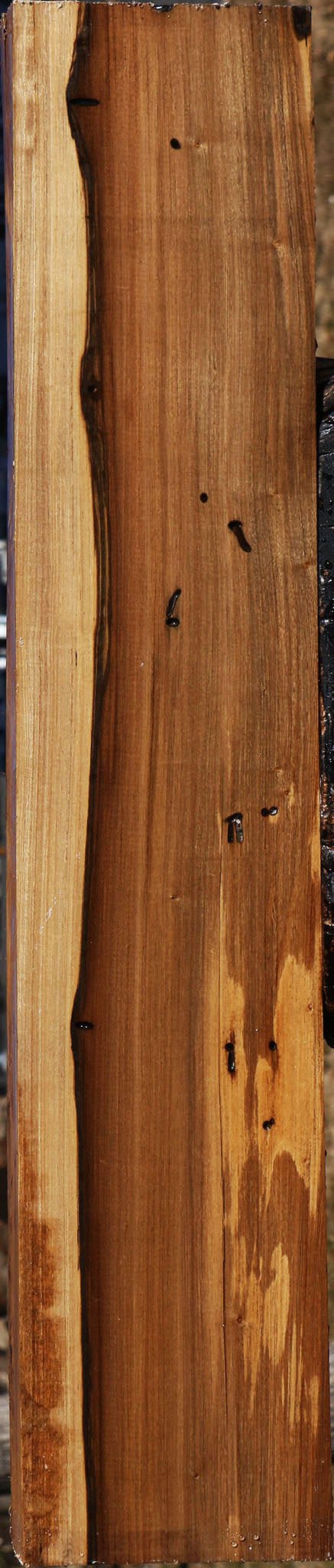 Brazilian Hickory Lumber