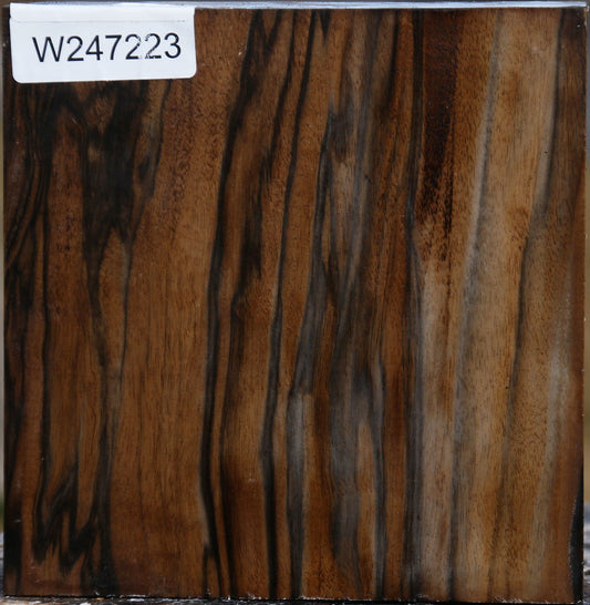 Extra Fancy English Walnut Bowl Blank