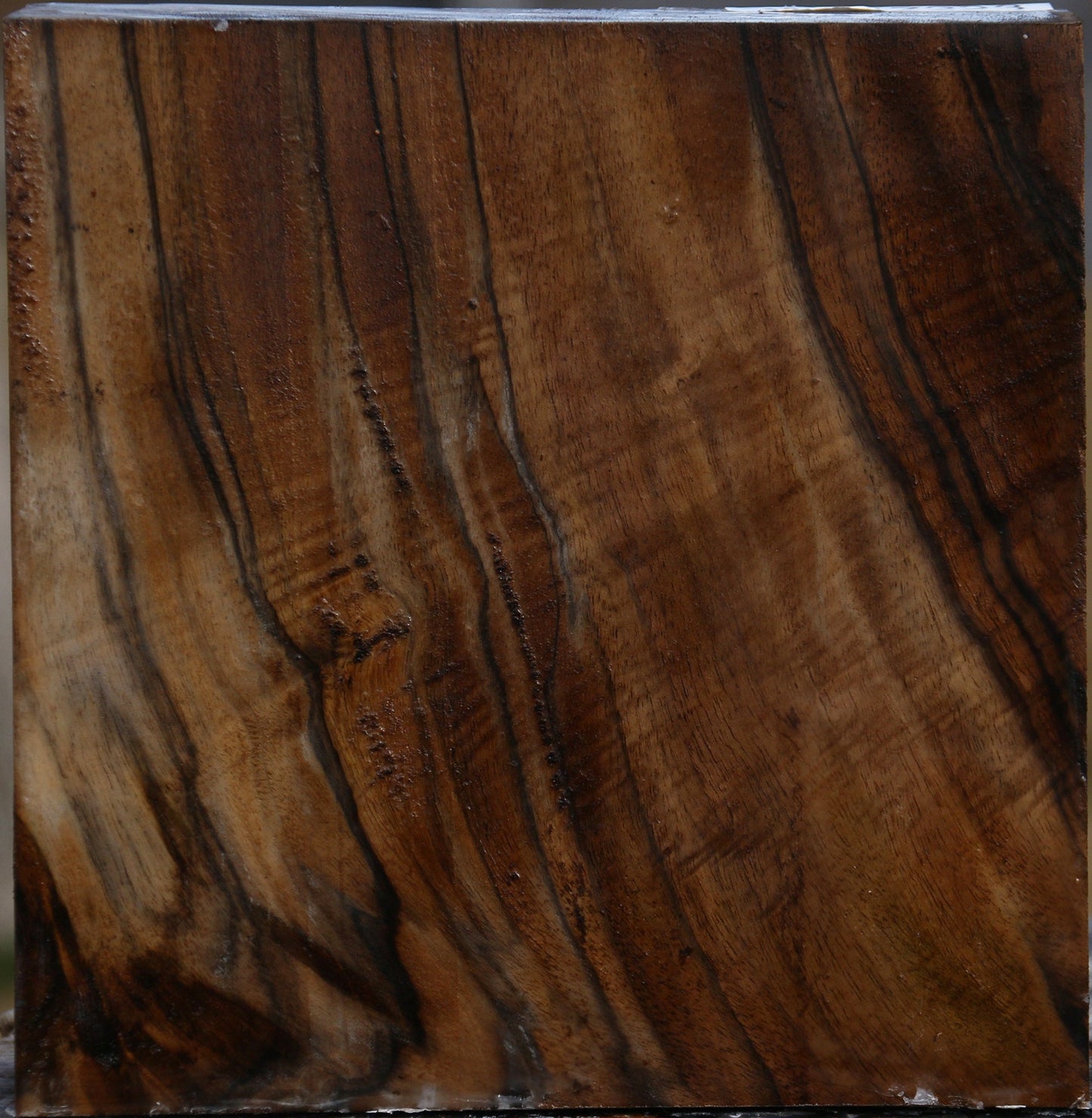 Extra Fancy English Walnut Bowl Blank