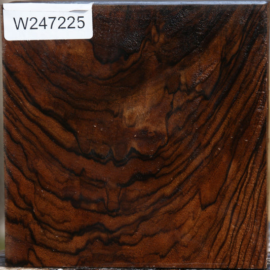 Extra Fancy Crotchwood English Walnut Bowl Blank