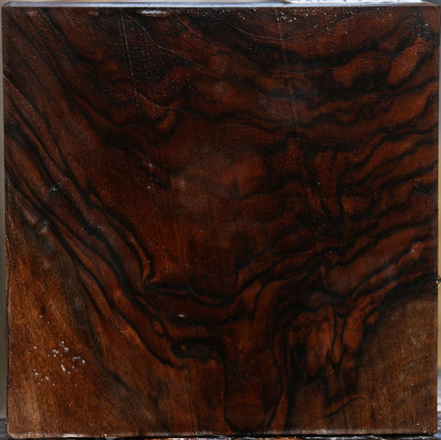 Extra Fancy Crotchwood English Walnut Bowl Blank