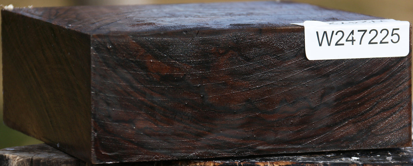 Extra Fancy Crotchwood English Walnut Bowl Blank
