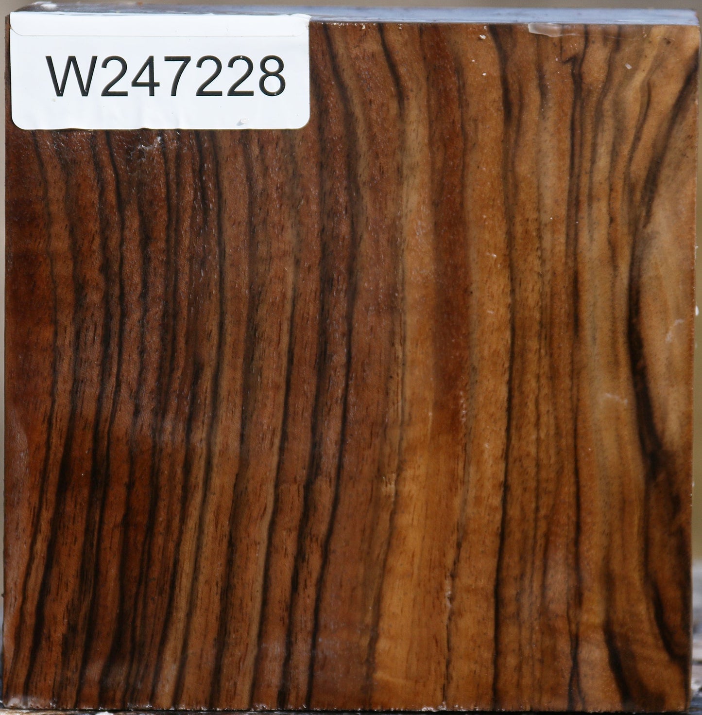 Extra Fancy English Walnut Bowl Blank