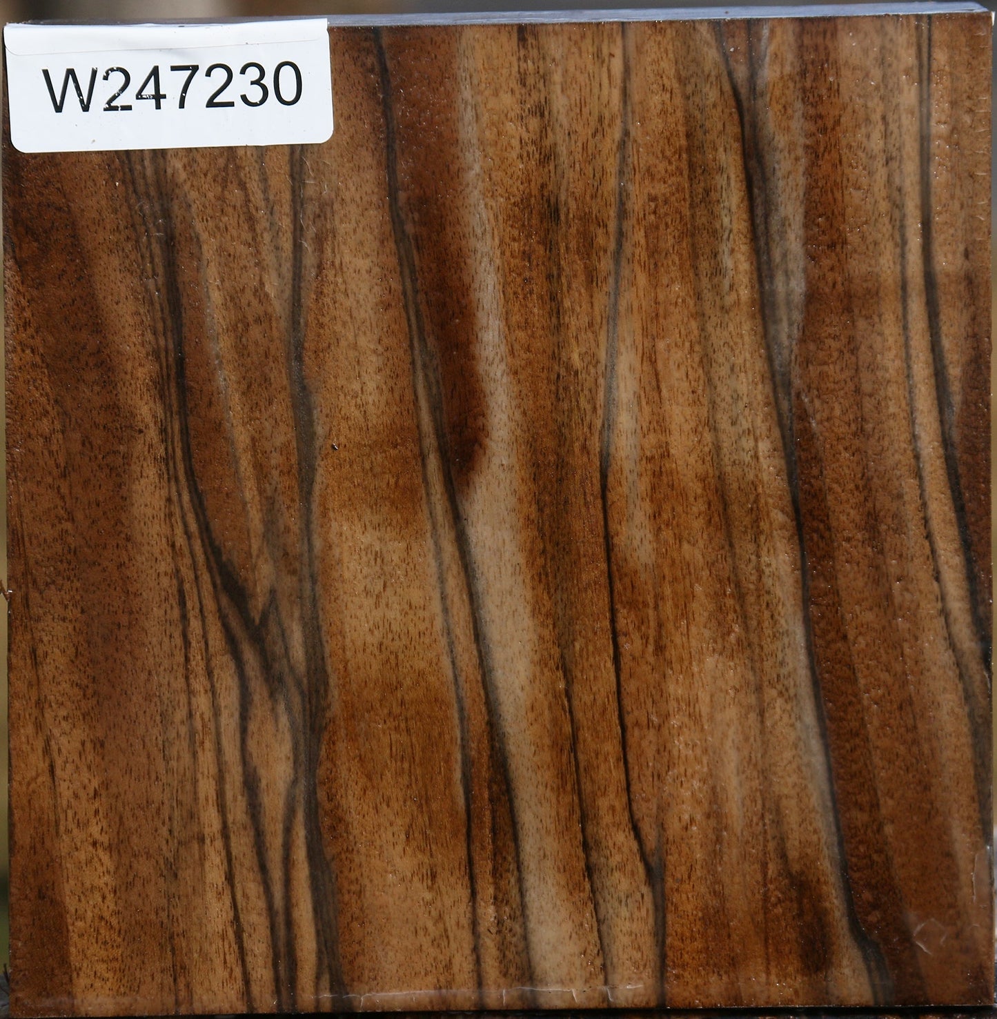 English Walnut Bowl Blank